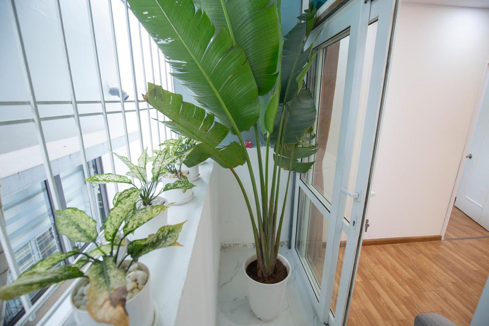 Sumitomo 4 Serviced Apartments & Breakfast Hanoi Eksteriør bilde